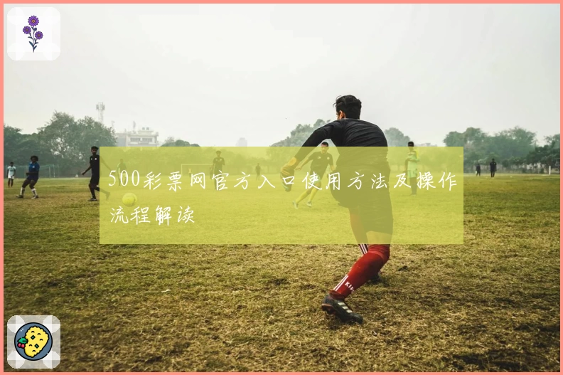 500彩票网官方入口使用方法及操作流程解读