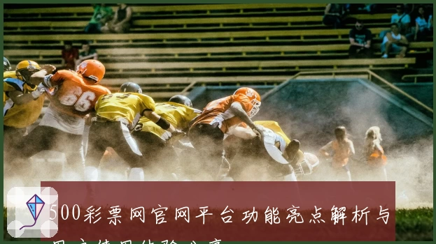 500彩票网官网平台功能亮点解析与用户使用体验分享